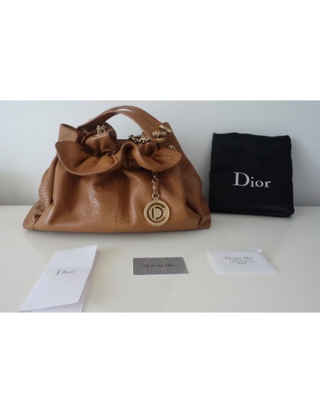 SAC DIOR 30 PYTHON