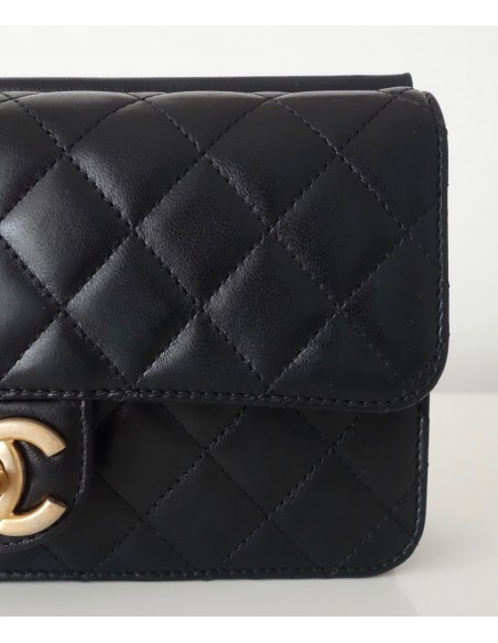 SAC CHANEL CLASSIQUE PM