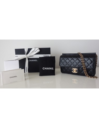 SAC CHANEL CLASSIQUE PM SAC CHANEL CLASSIQUE PM