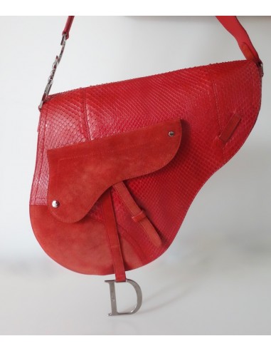 SAC DIOR SADDLE ROUGE