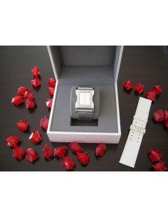 MONTRE DIOR CHRIS 47 2