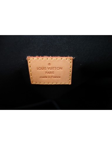 Sac Louis Vuitton Gaïa Sac Louis Vuitton Gaïa
