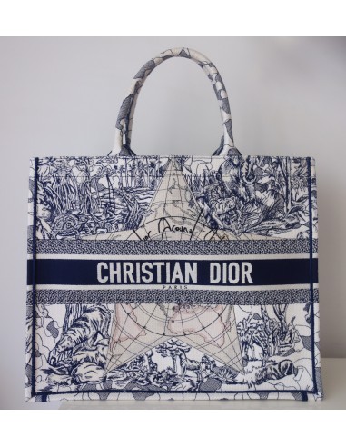 Sac Dior Book Tote "Around the world"