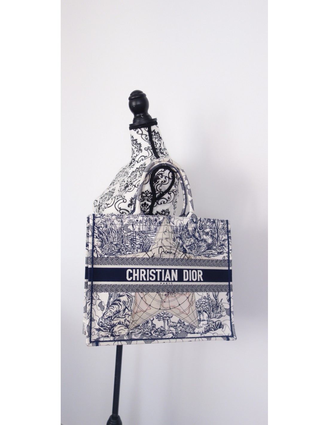 Sac Dior Book Tote