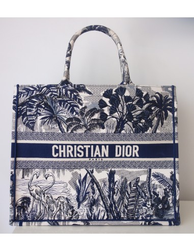 Sac Dior Book Tote