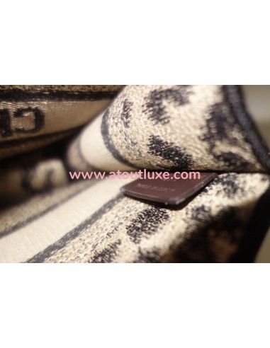 Sac Dior Book Tote mini Sac Dior Book Tote mini