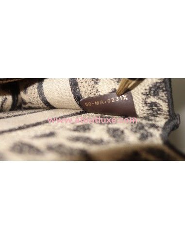 Sac Dior Book Tote mini Sac Dior Book Tote mini