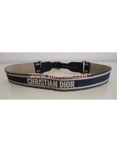 Ceinture Dior Book Tote