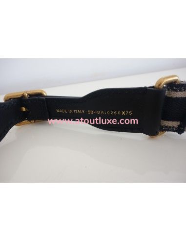 Ceinture Dior Book Tote Ceinture Dior Book Tote