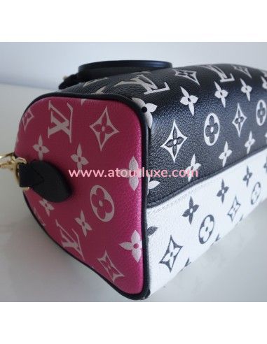 sac Vuitton Speedy 20 sac Vuitton Speedy 20