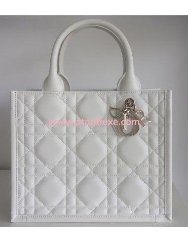 Sac Dior Book tote 2024